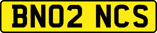 BN02NCS