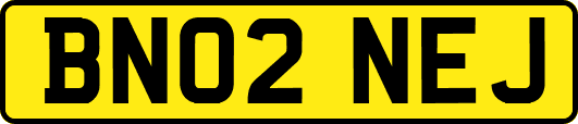BN02NEJ