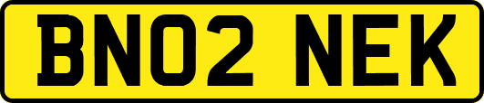 BN02NEK