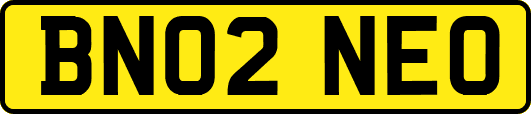 BN02NEO
