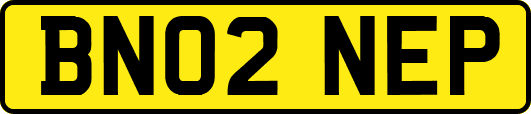 BN02NEP