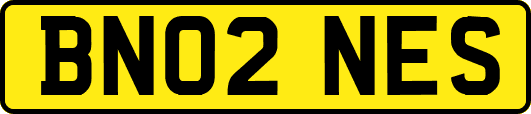 BN02NES