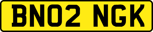 BN02NGK