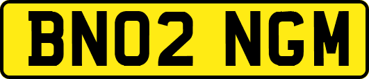 BN02NGM