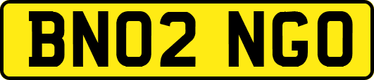 BN02NGO