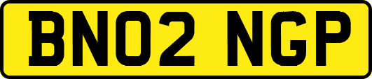 BN02NGP