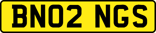 BN02NGS