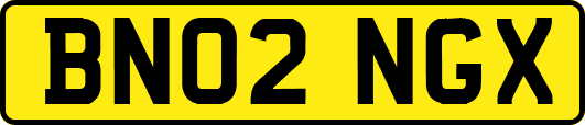 BN02NGX