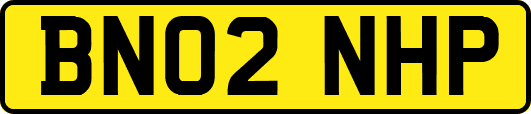 BN02NHP