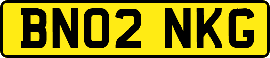 BN02NKG