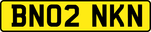 BN02NKN