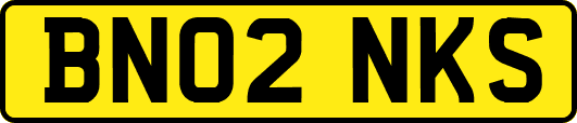 BN02NKS