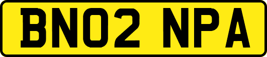 BN02NPA