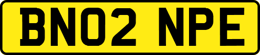 BN02NPE