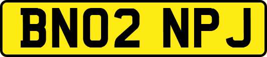 BN02NPJ