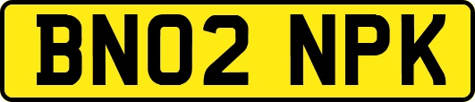 BN02NPK