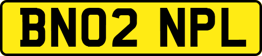 BN02NPL