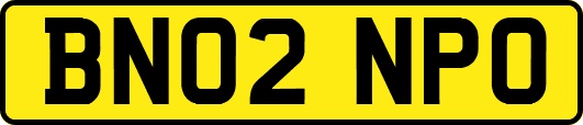 BN02NPO