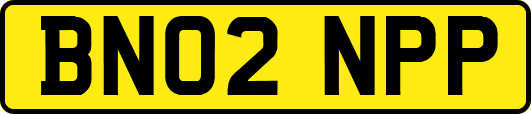 BN02NPP
