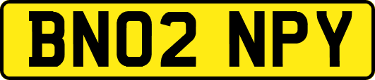 BN02NPY