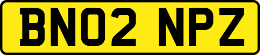 BN02NPZ