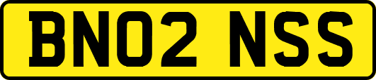 BN02NSS