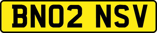 BN02NSV