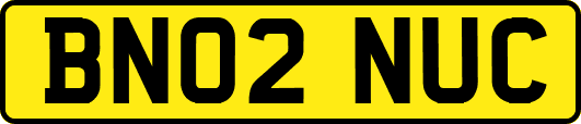 BN02NUC