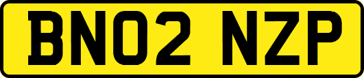 BN02NZP