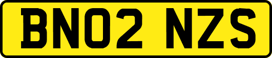BN02NZS