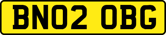 BN02OBG