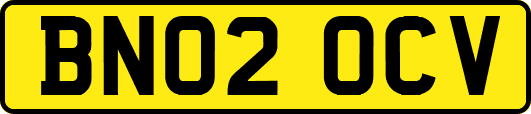 BN02OCV