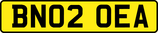 BN02OEA