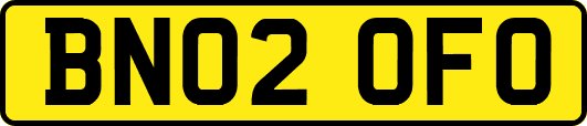 BN02OFO