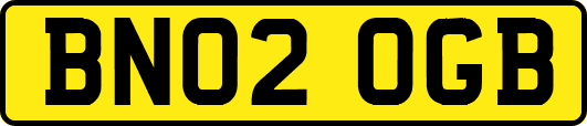 BN02OGB