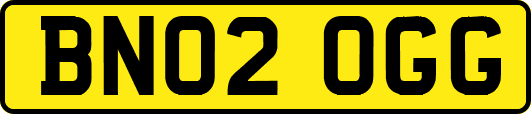 BN02OGG