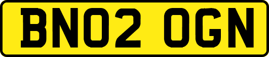 BN02OGN