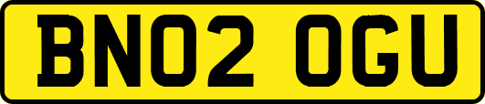 BN02OGU