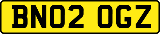 BN02OGZ