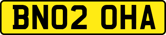 BN02OHA