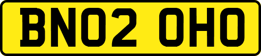 BN02OHO