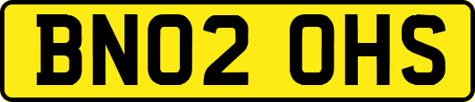 BN02OHS