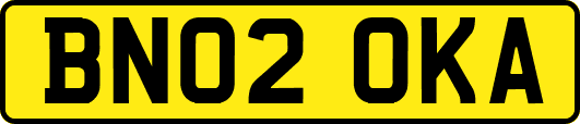 BN02OKA