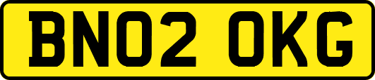 BN02OKG