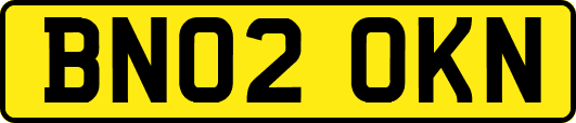 BN02OKN
