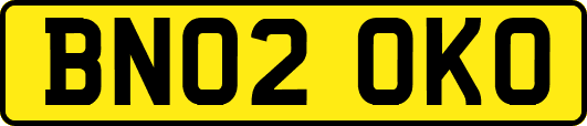 BN02OKO