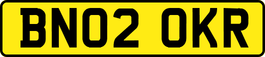 BN02OKR