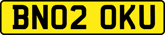 BN02OKU