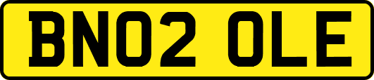 BN02OLE