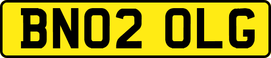 BN02OLG